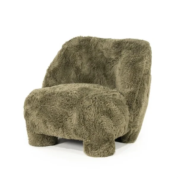 Eleonora / Fauteuils / Fauteuil Samson – groen Doodle