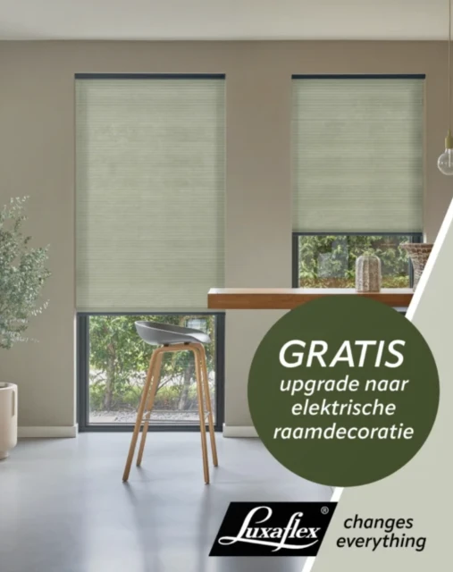 Afbeelding 59419